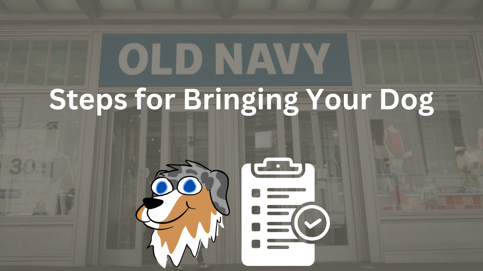 Image Text: "Steps for Bringing Your Dog"