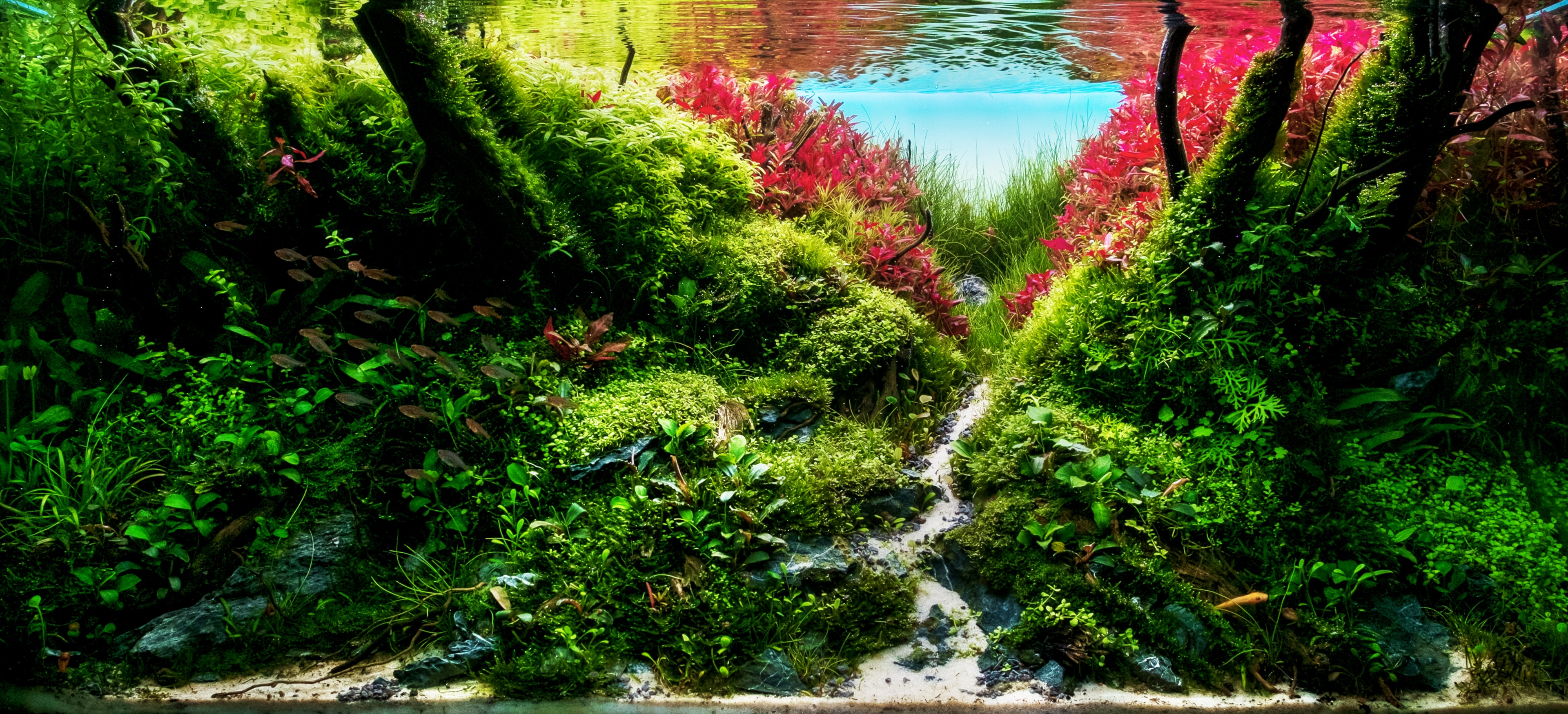 Taking good care of your aquarium is essential