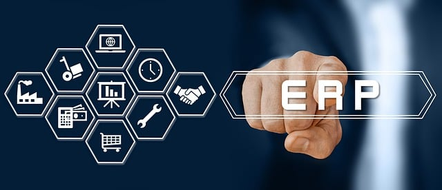 Alt text: Aspects of ERP implementation