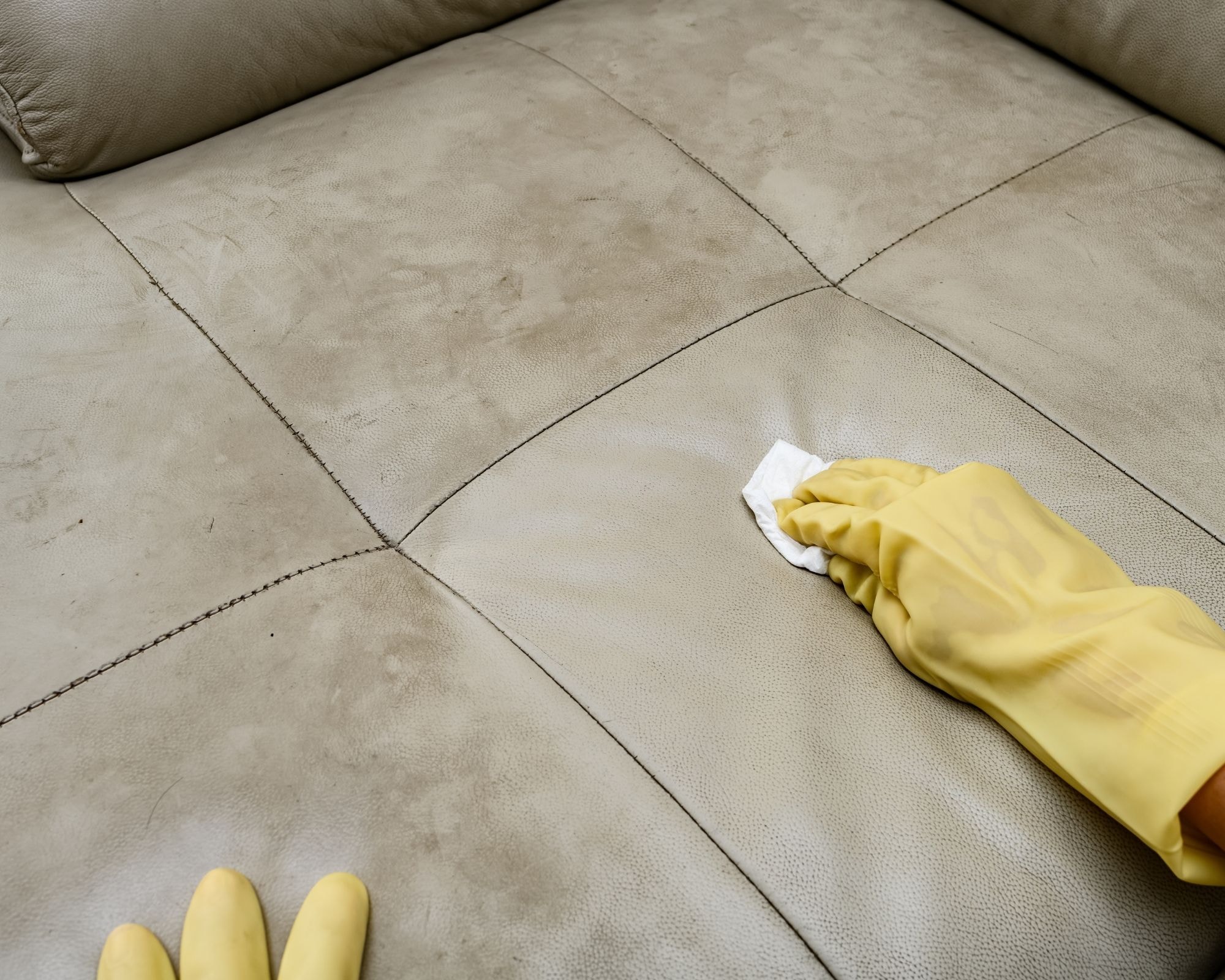 Close-up of a professional cleaning a leather sofa with yellow gloves and a cloth, highlighting expert sofa cleaning techniques for leather furniture to remove stains and restore shine