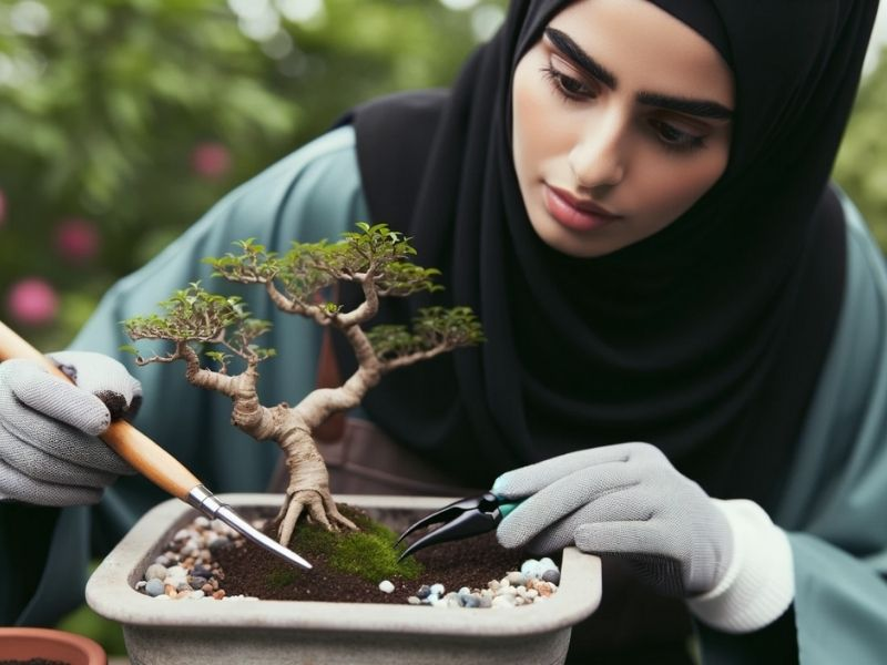 The bonsai caretaker employs specialized tools to inspect and fine-tune the soil around her precious bonsai tree.