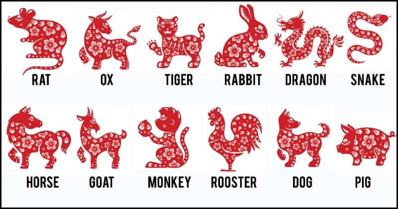 12 Chinese Zodiac Sign