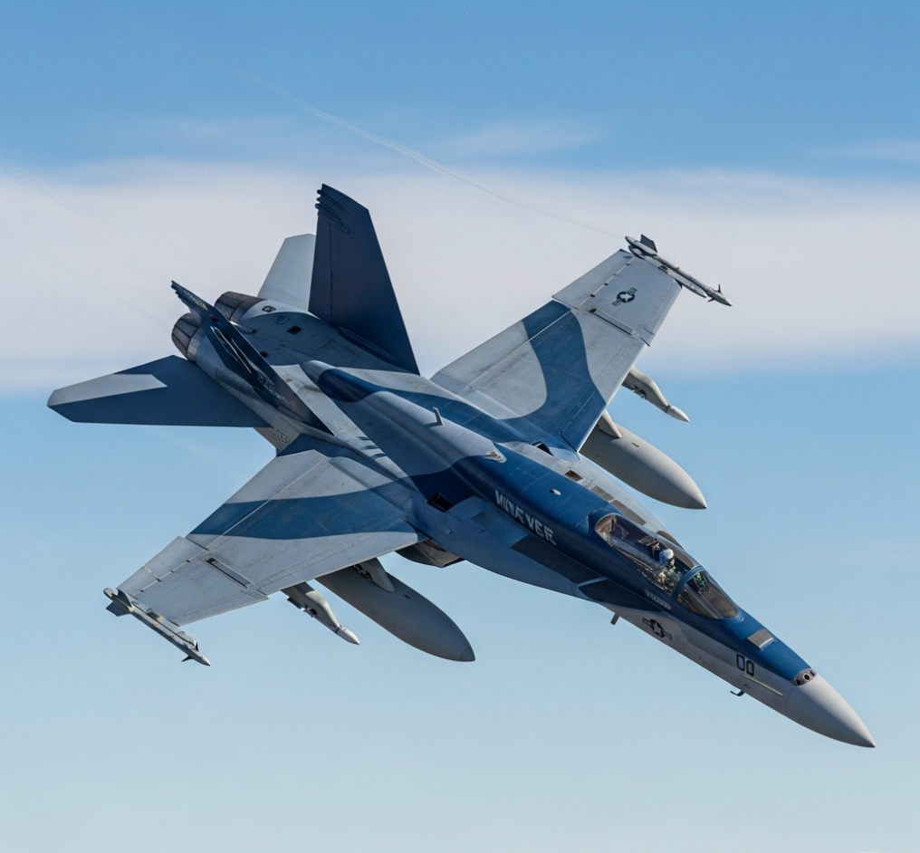 continuing the top gun legacy with your family or squad. F-18 super hornet is a great plane