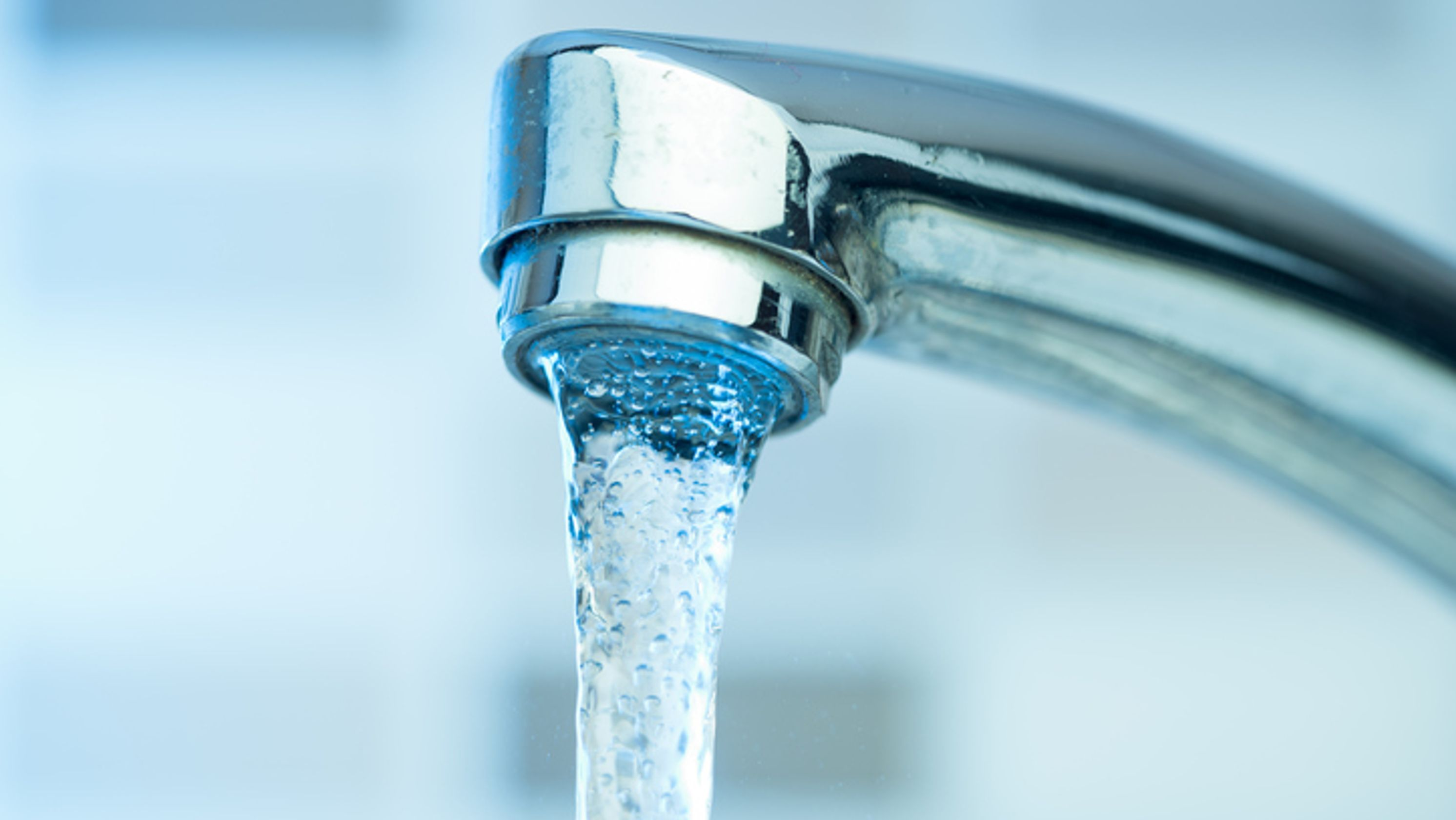 Water Has Magnesium Citrate For Your Dog