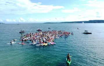 group of paddle boards