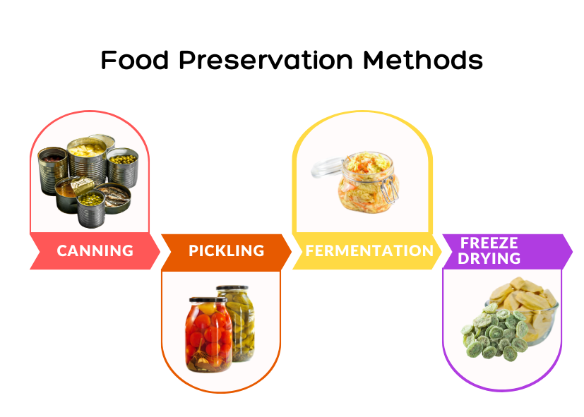 Food Preservation Method | Freeze Dry, Canning, Pickling, Fermentation