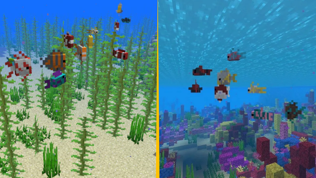 where to find tropical fish in minecraft