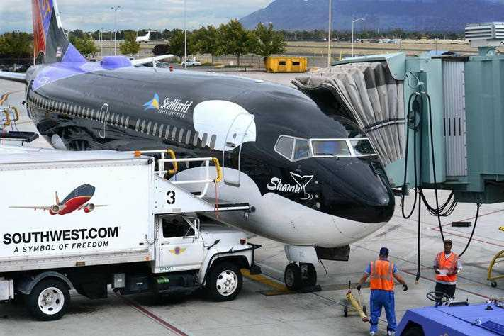 Shamu One, a Boeing 737 painted to look like the famous whale as part of Southwest's sponsorship deal