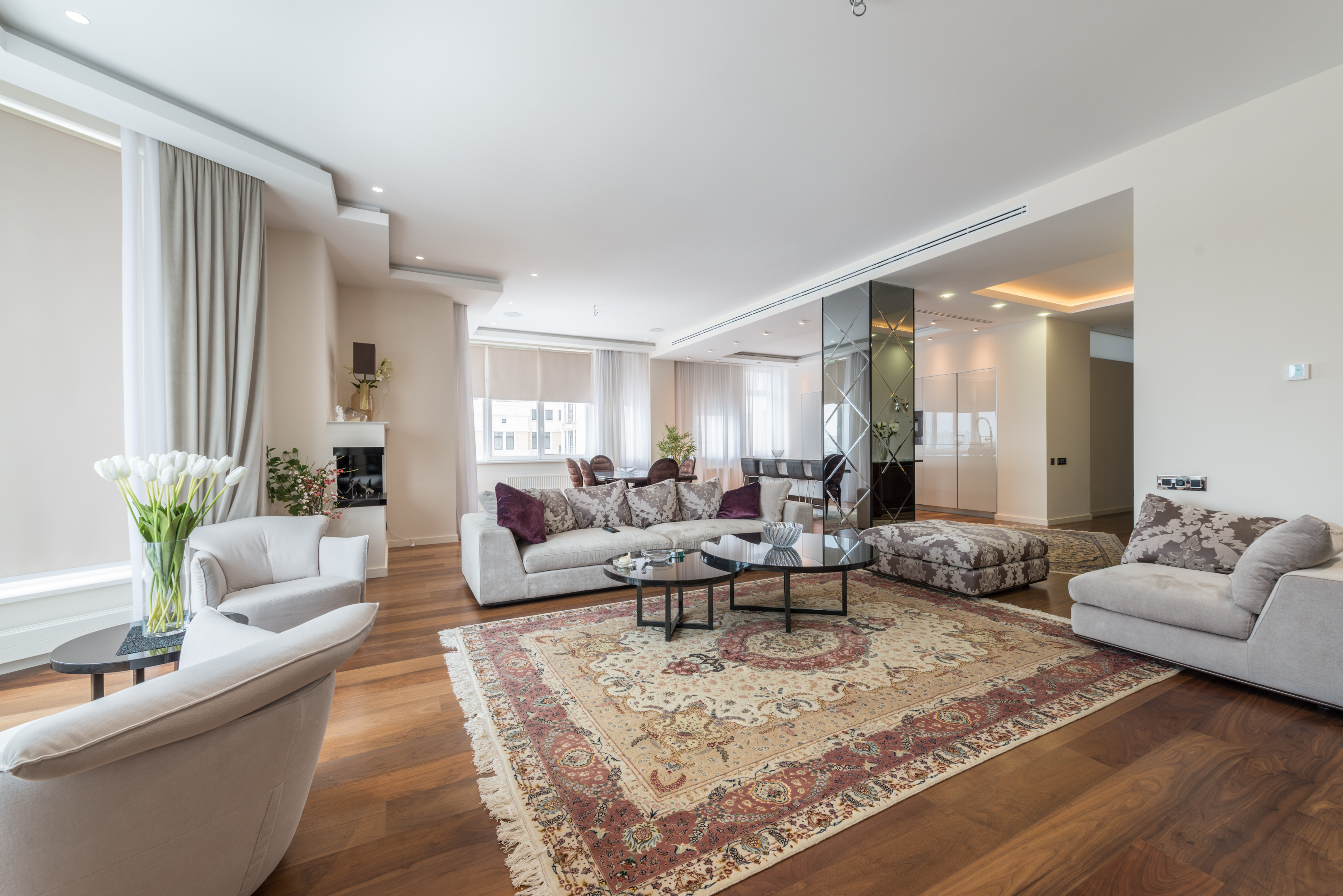 light and open living room with large Persian rug