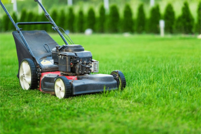 A lawn mower cutting grass