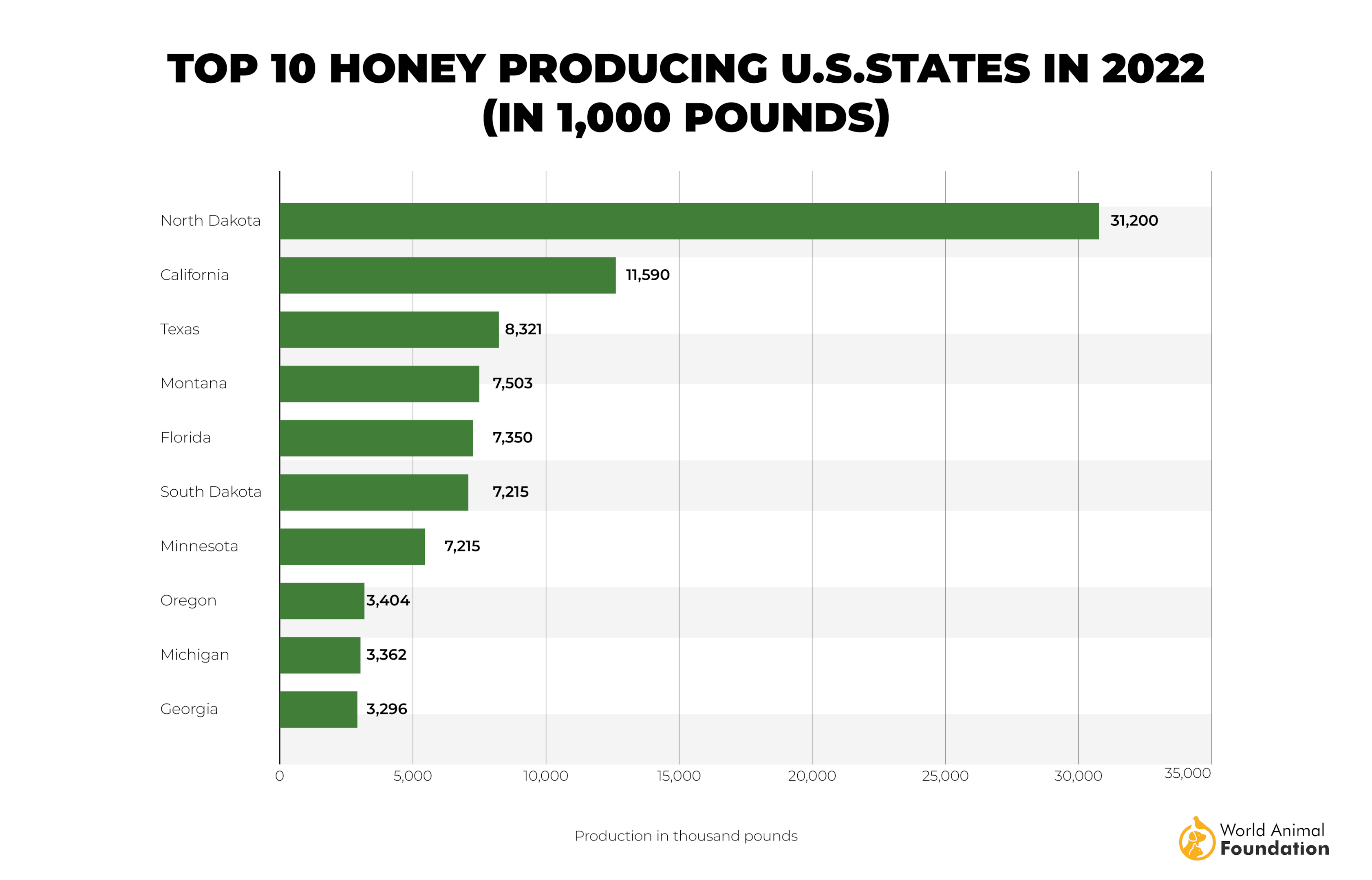 Bee Statistics & Crucial Facts That You Must Know In 2024!