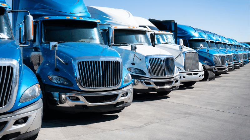 Fleet vehicles with window tint films