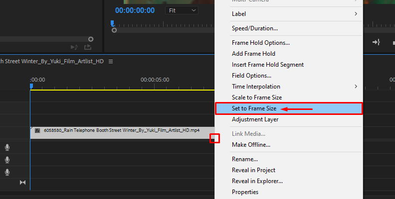 how to resize a video in premiere