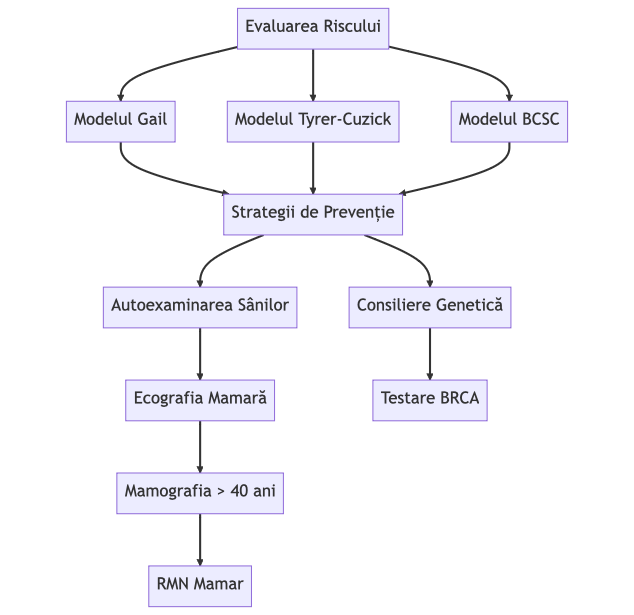 cancer de san,Cancer mamar,CANCER LA SAN,carcinom ductal,tipuri de cancer,risc de cancer,rmn san pret,ecografie san diagrama procesului de evaluare a Riscului de cancer mamar - rmn mamar, mamografie, ecografie san