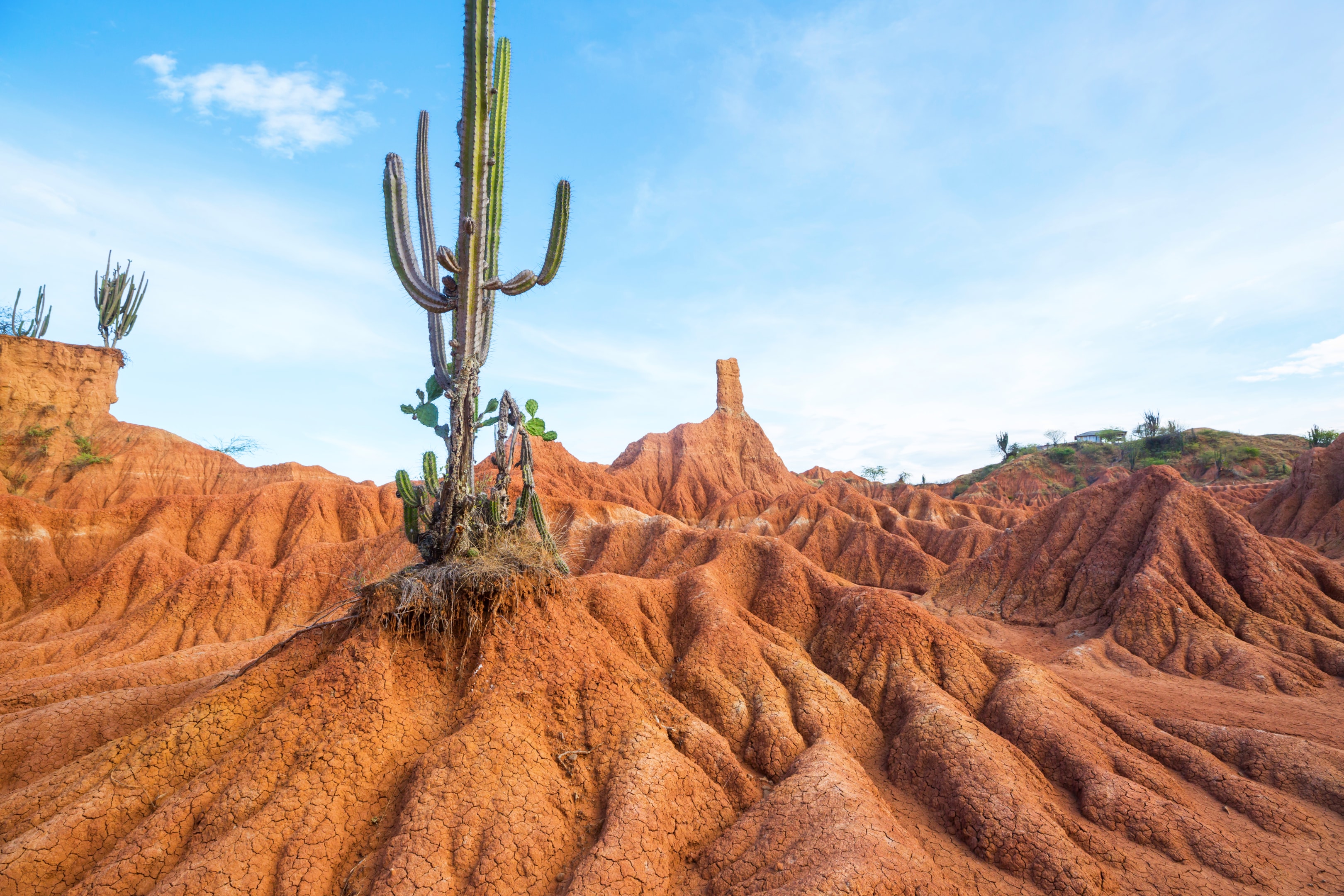 15 lugares para ir de vacaciones en Colombia 6 Lugares para visitar en colombia