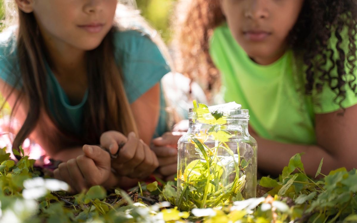 nature activity