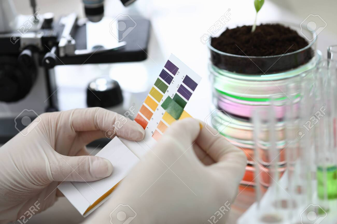 A technician performing a chemical and organic analysis of soils