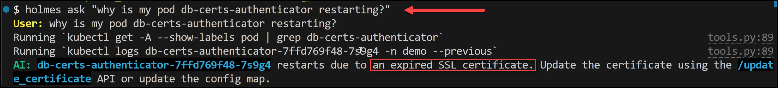 Root Cause displayed by HolmesGPT