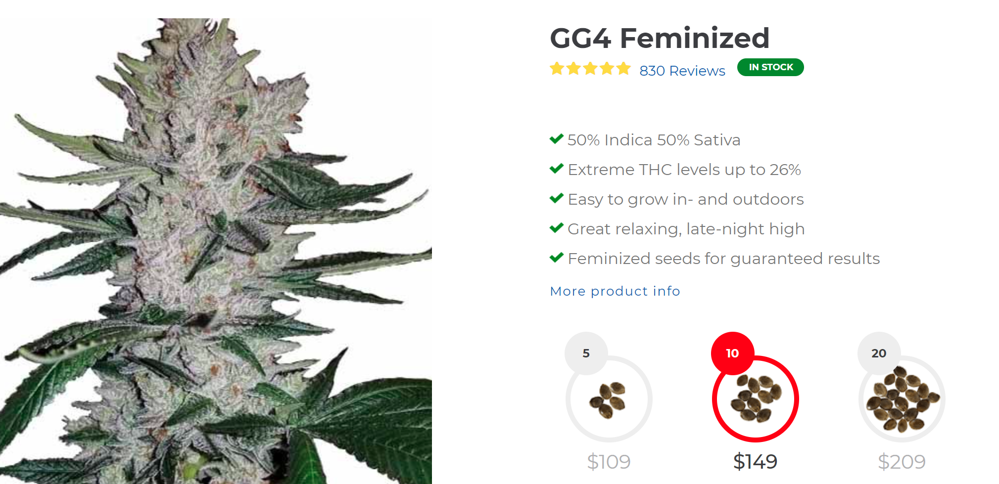 Ilgm Seeds Review: Is It A Legitimate Seed Bank? Gorilla Glue (Gg4) Feminized Marijuana Seeds