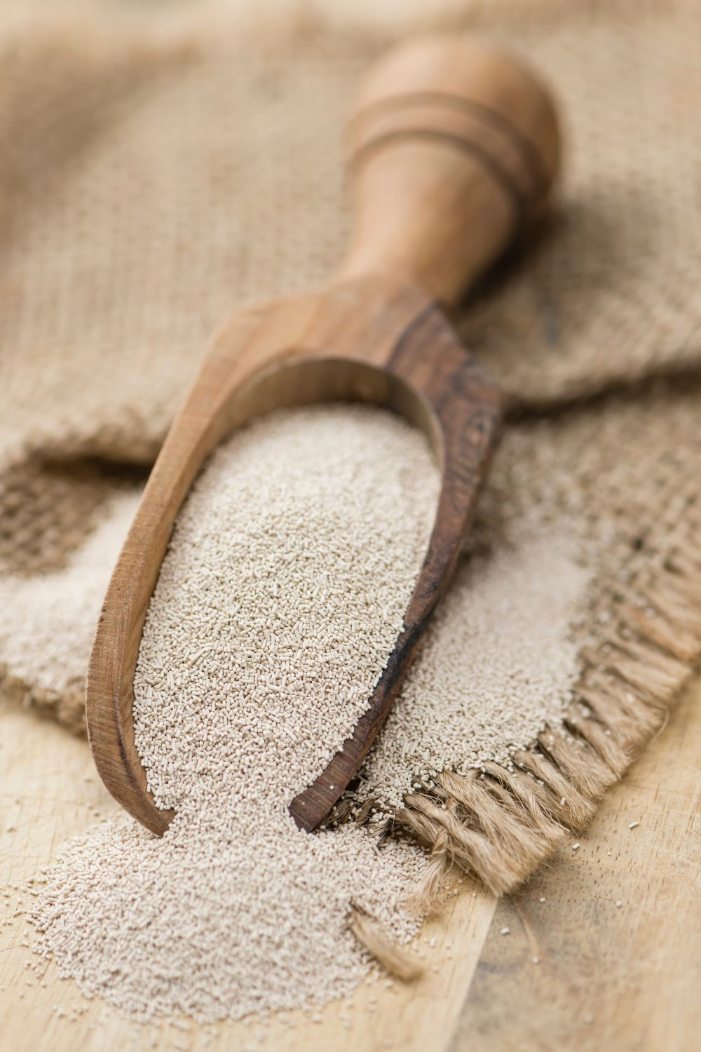 wooden spoon of active yeast granules