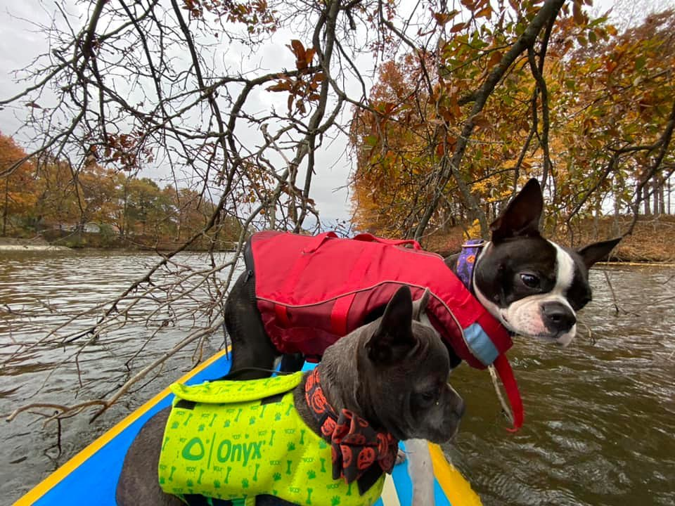 flat water sup and river stand up paddle boarding in the fall