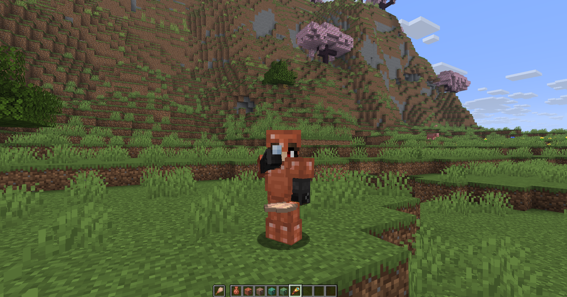 The player holding a Spyglass and a Brush.