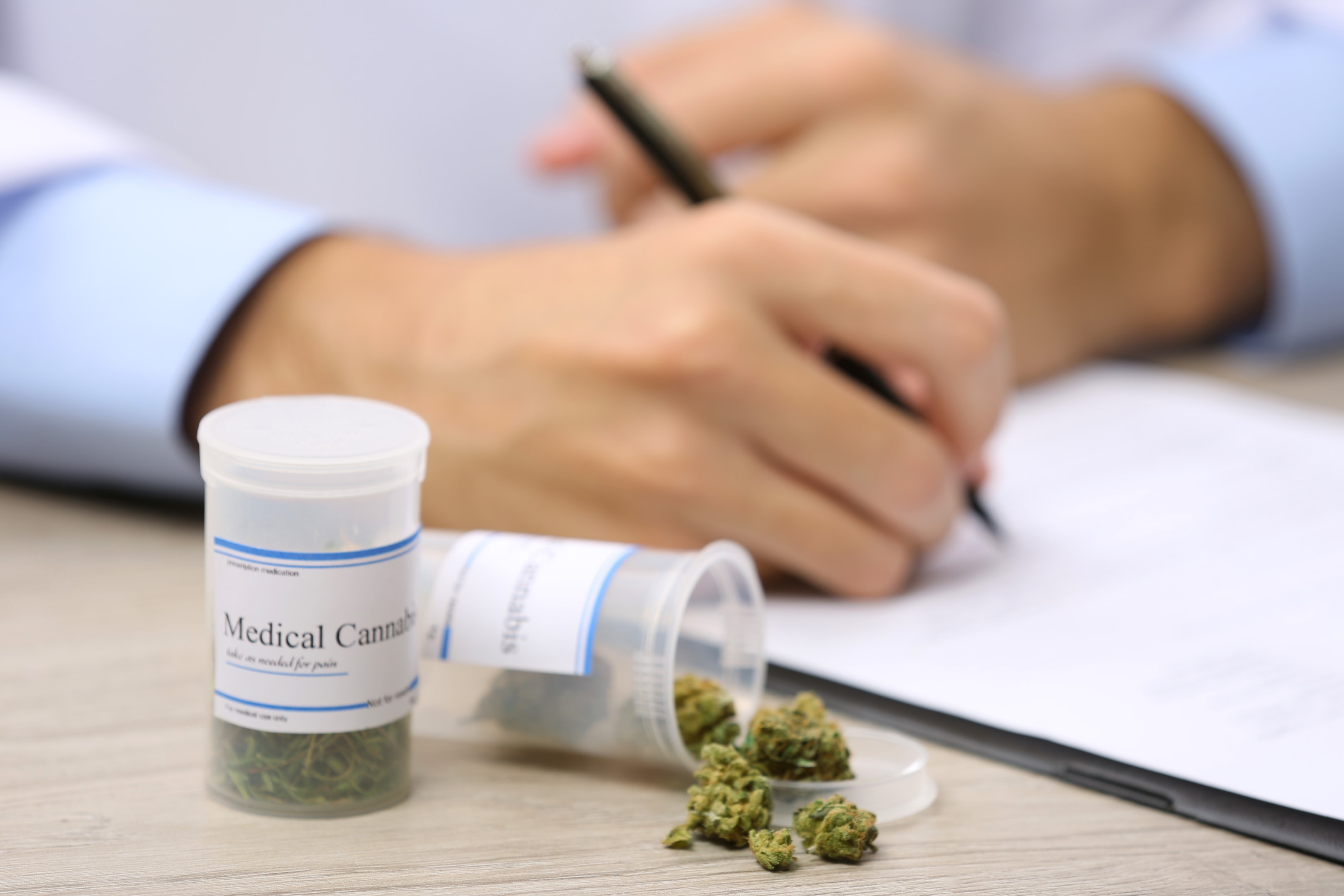 Obtaining a medical cannabis recommendation typically involves consultation with a healthcare provider who can assess whether cannabis may benefit your specific condition.