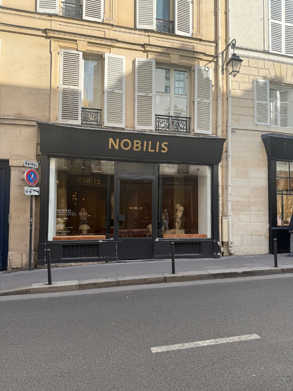 Nobilis Paris location with rugs, Parisian furniture, and more to search through and a more affordable price
