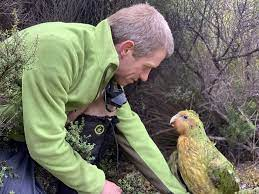 Kakapo, animals that start with K