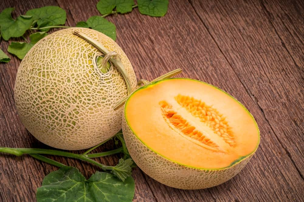 Yubari King Melon