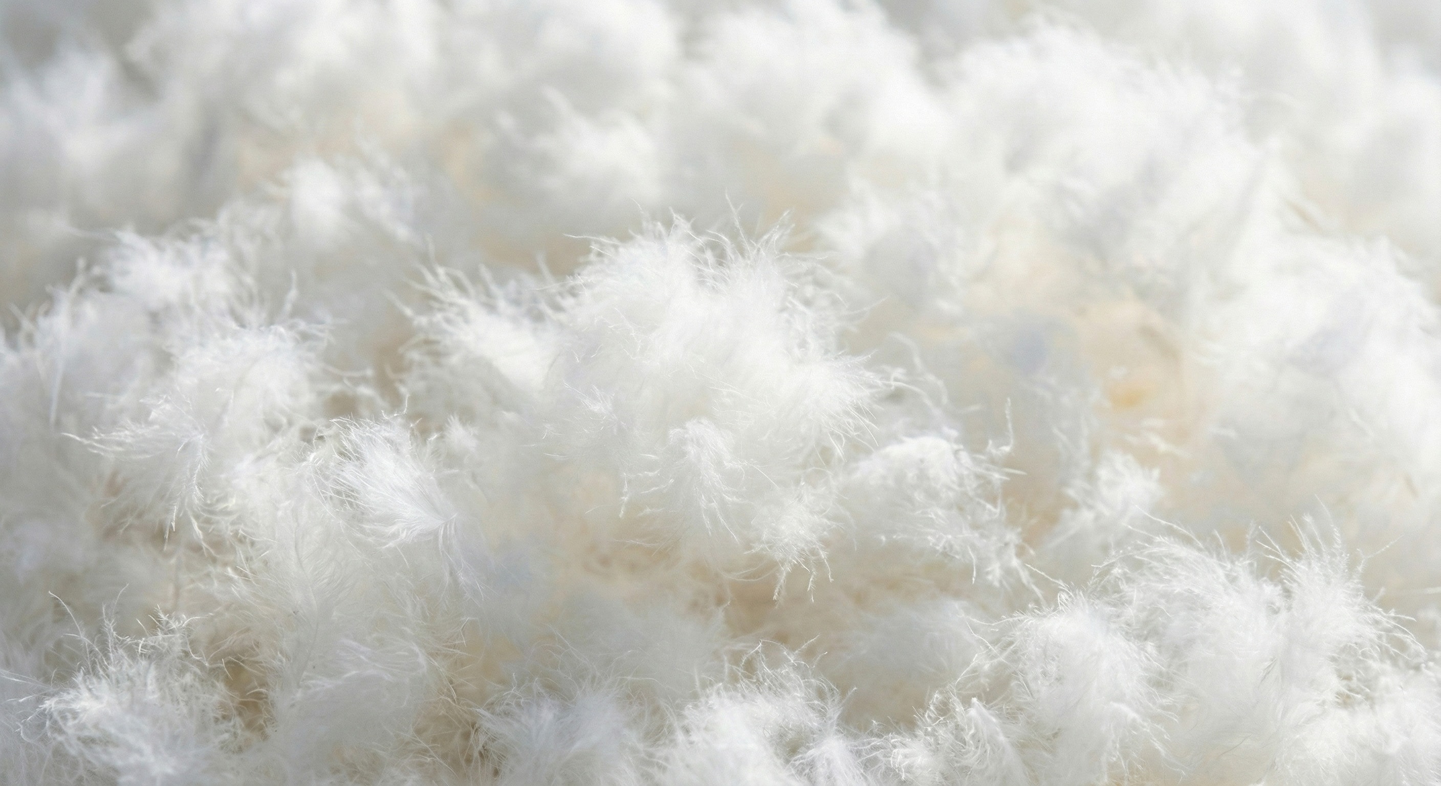 duvet d'oie garnissage sac de couchage