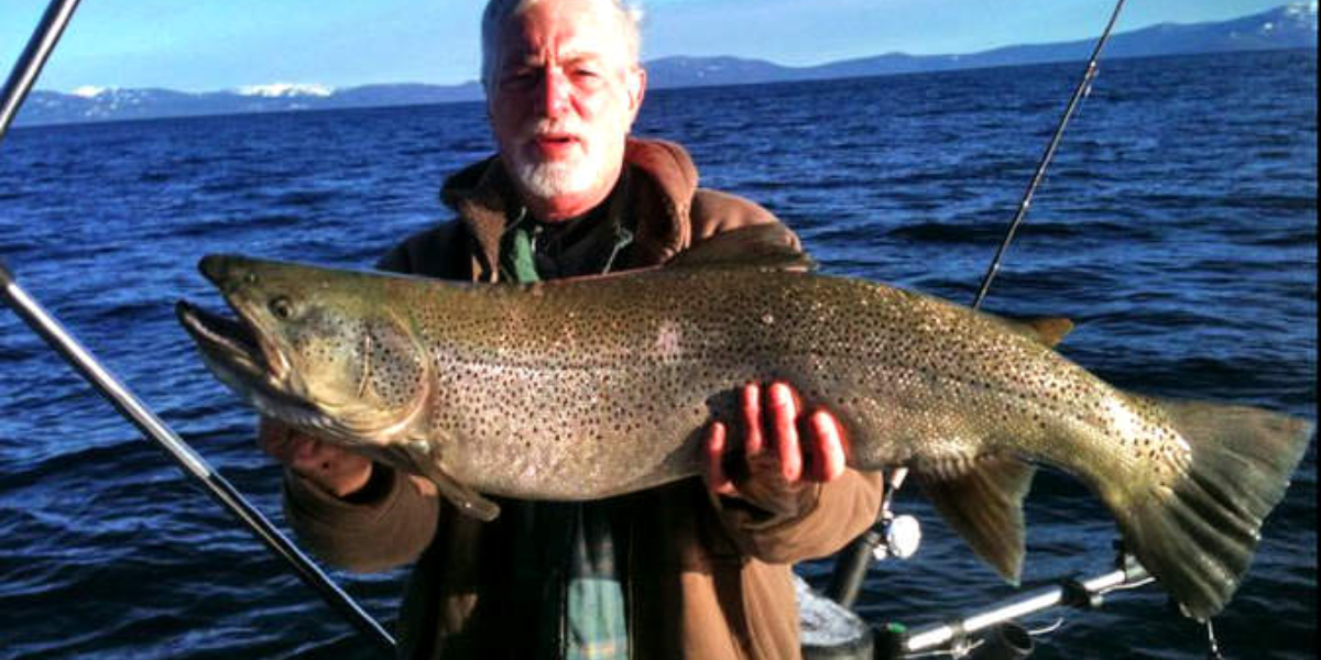 interesting animals in lake tahoe