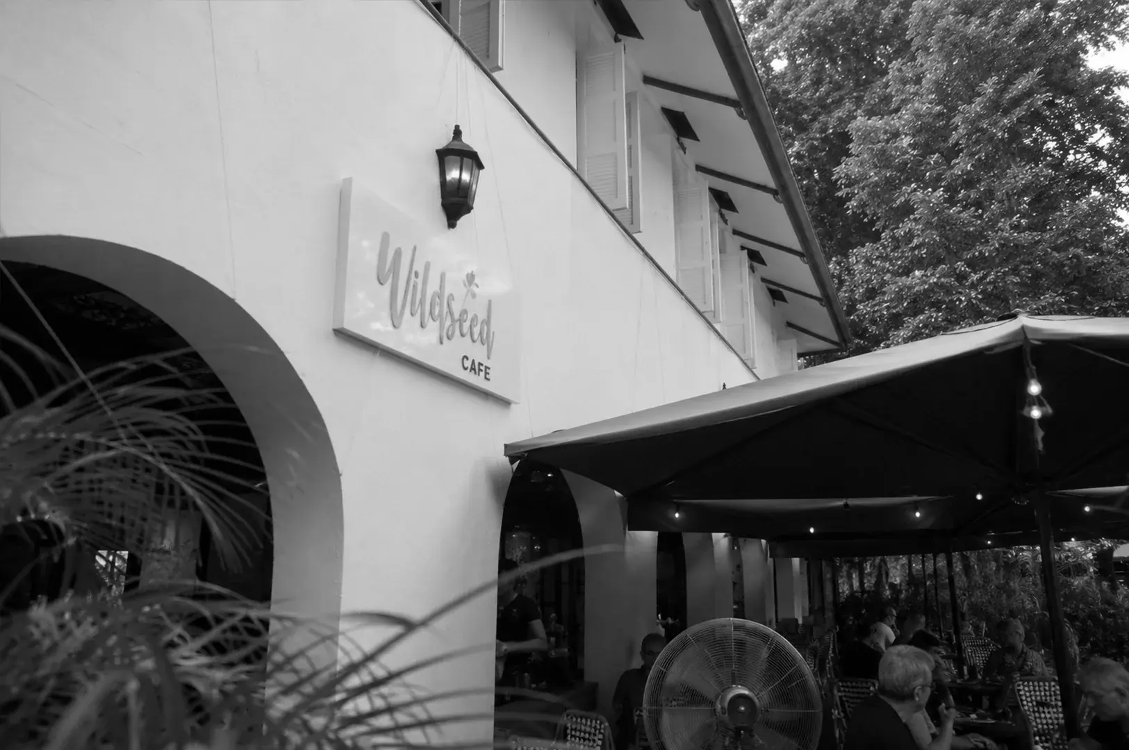Exterior of Wildseed Café featuring its white façade, outdoor seating, and lush greenery.