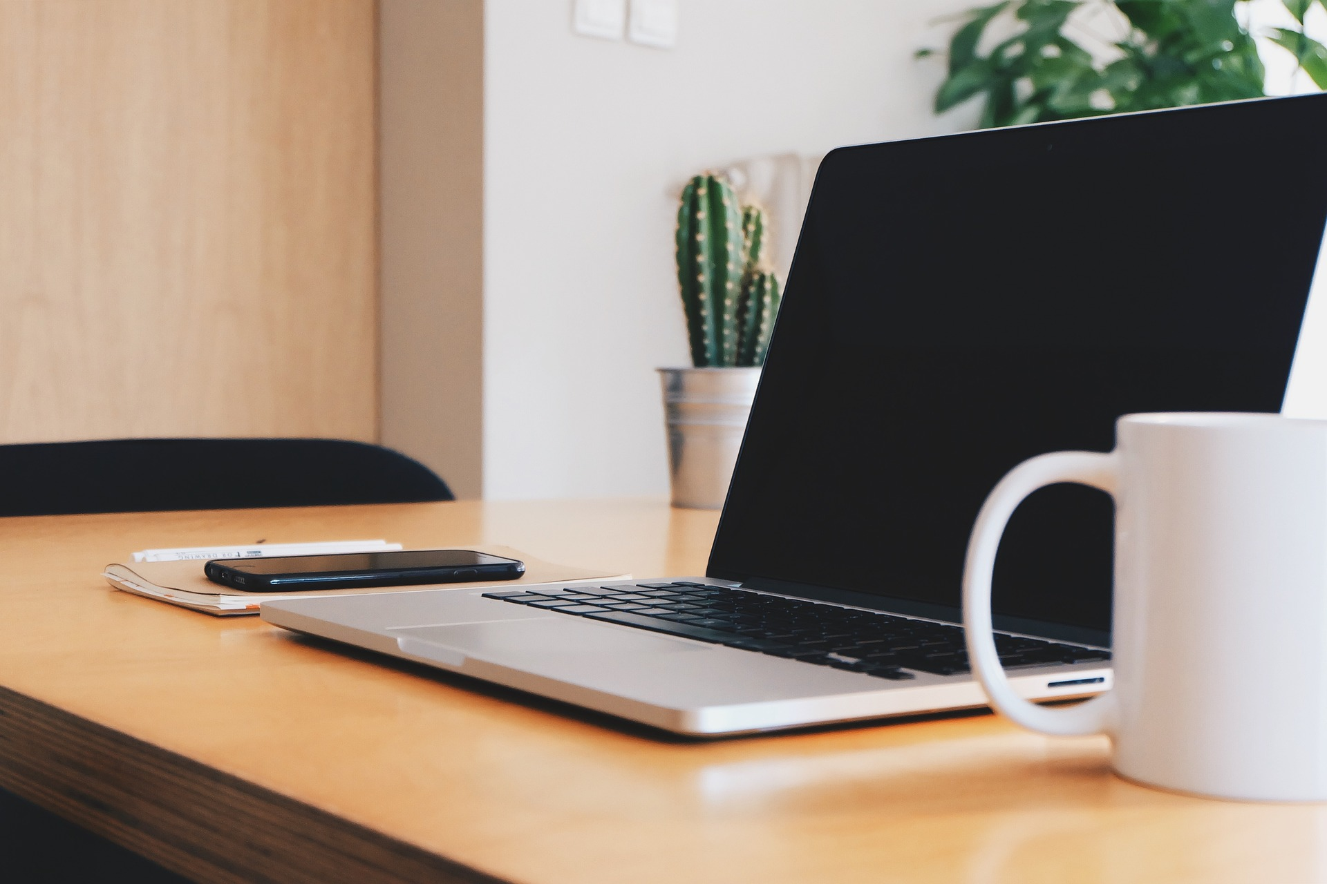 Plants for Office Desks