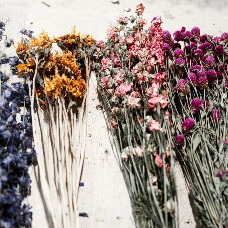 Drying Flowers 101: Expert Tips from Fabulous Flowers