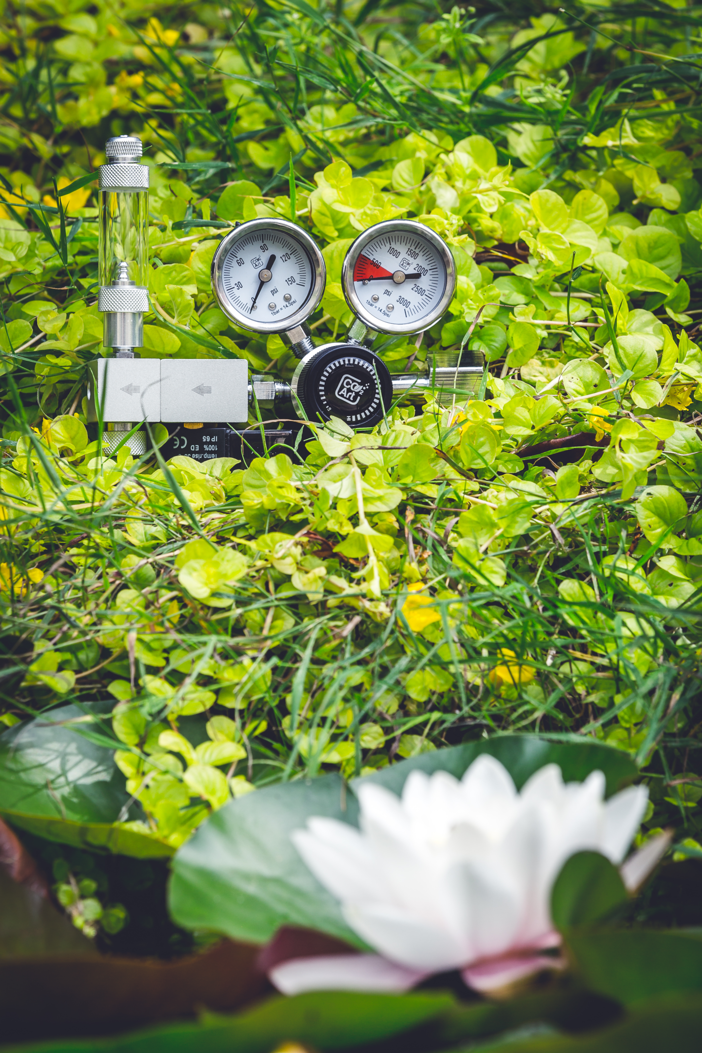 a co2 regulator with a bubble counter