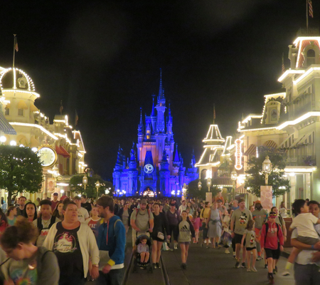 Magic kingdom at night. You can stay up as late as you want during an Adult only trip.