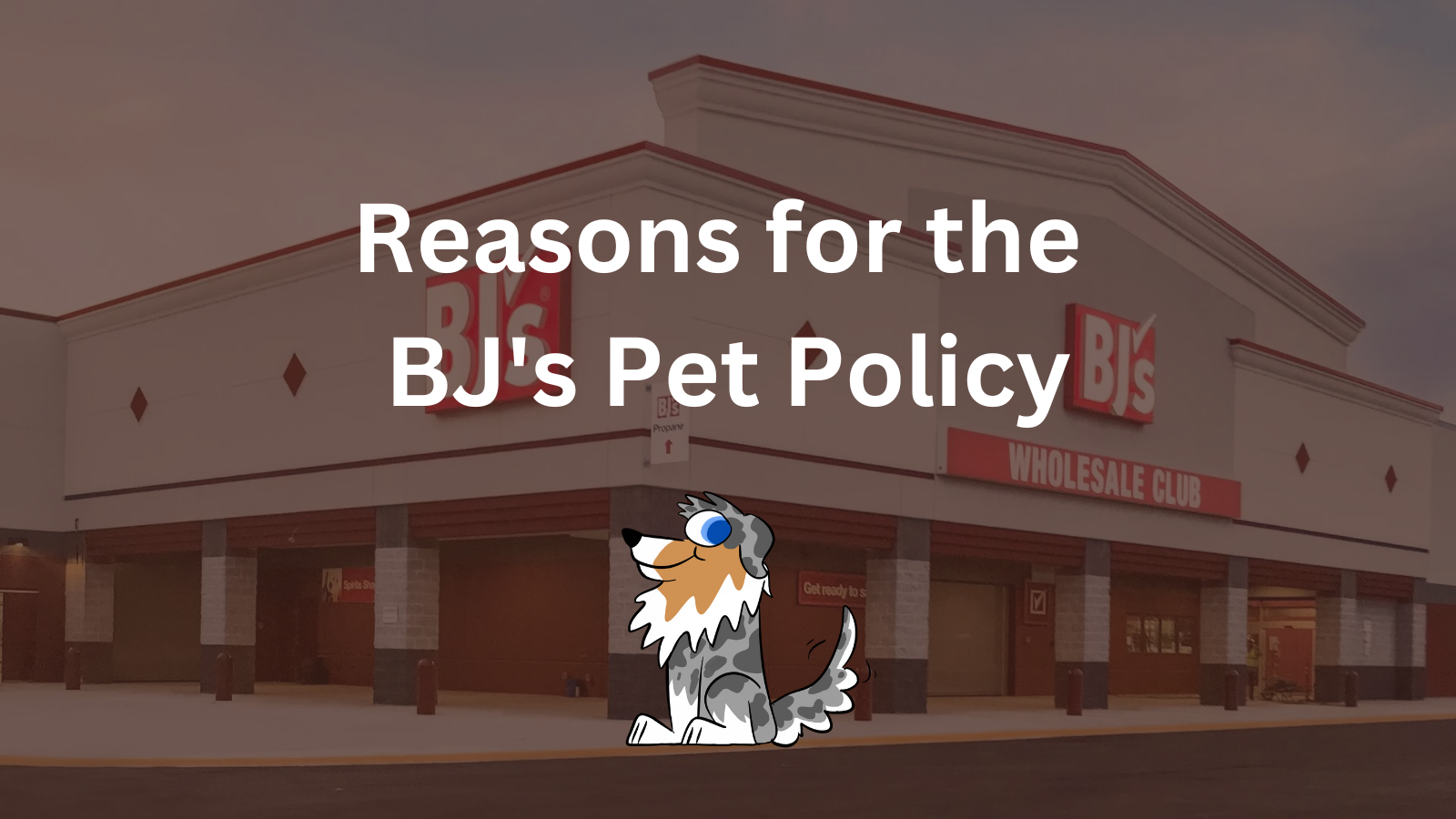 "Reasons for the BJ's Pet Policy"
