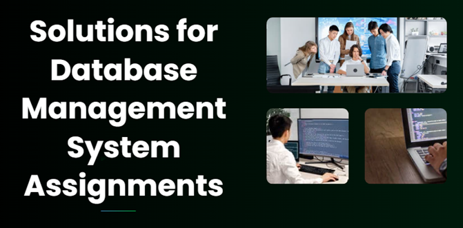 Database Management System