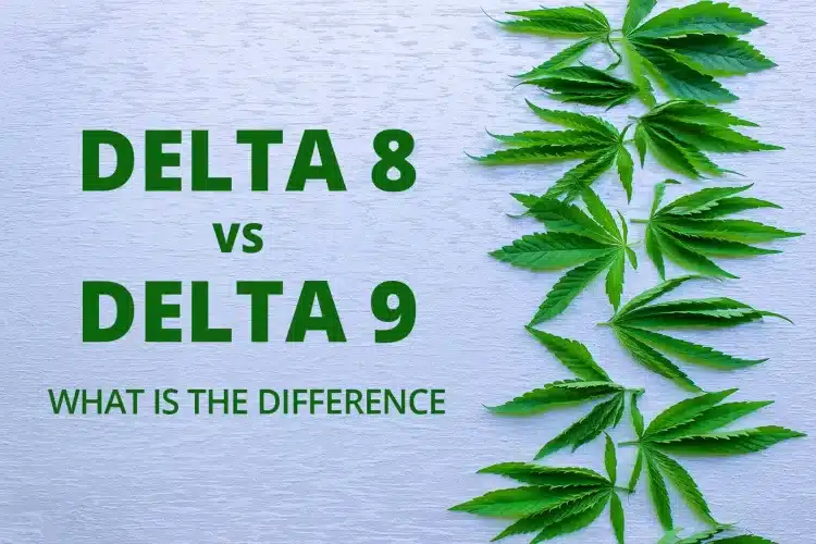 Delta 8 THC vs. Delta 9 THC safety concerns