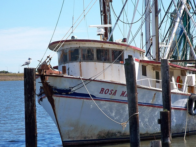 apalachicola, boats, florida