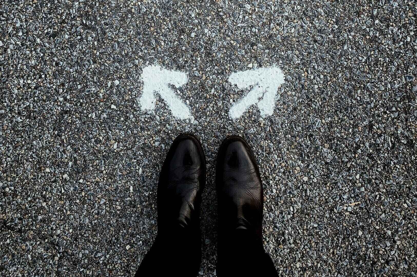 A person stands on a road, contemplating two arrows pointing in different directions, symbolizing career transition choices.