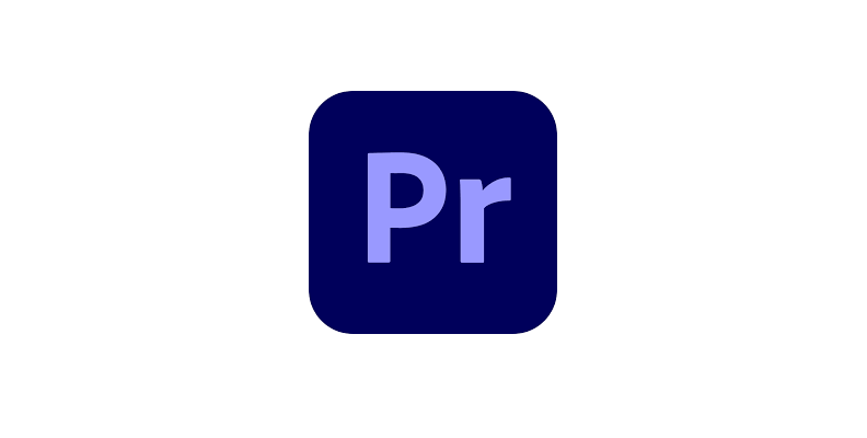 how to blur a part of a video in premiere pro