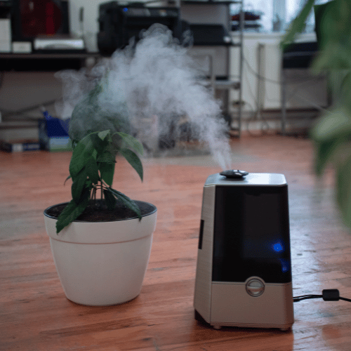 air purifier