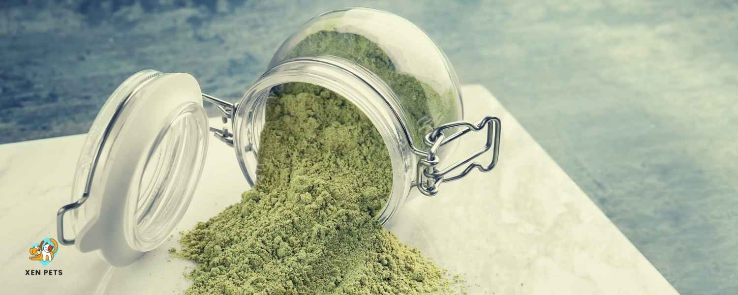 hemp powder is one of the herbs to calm dogs