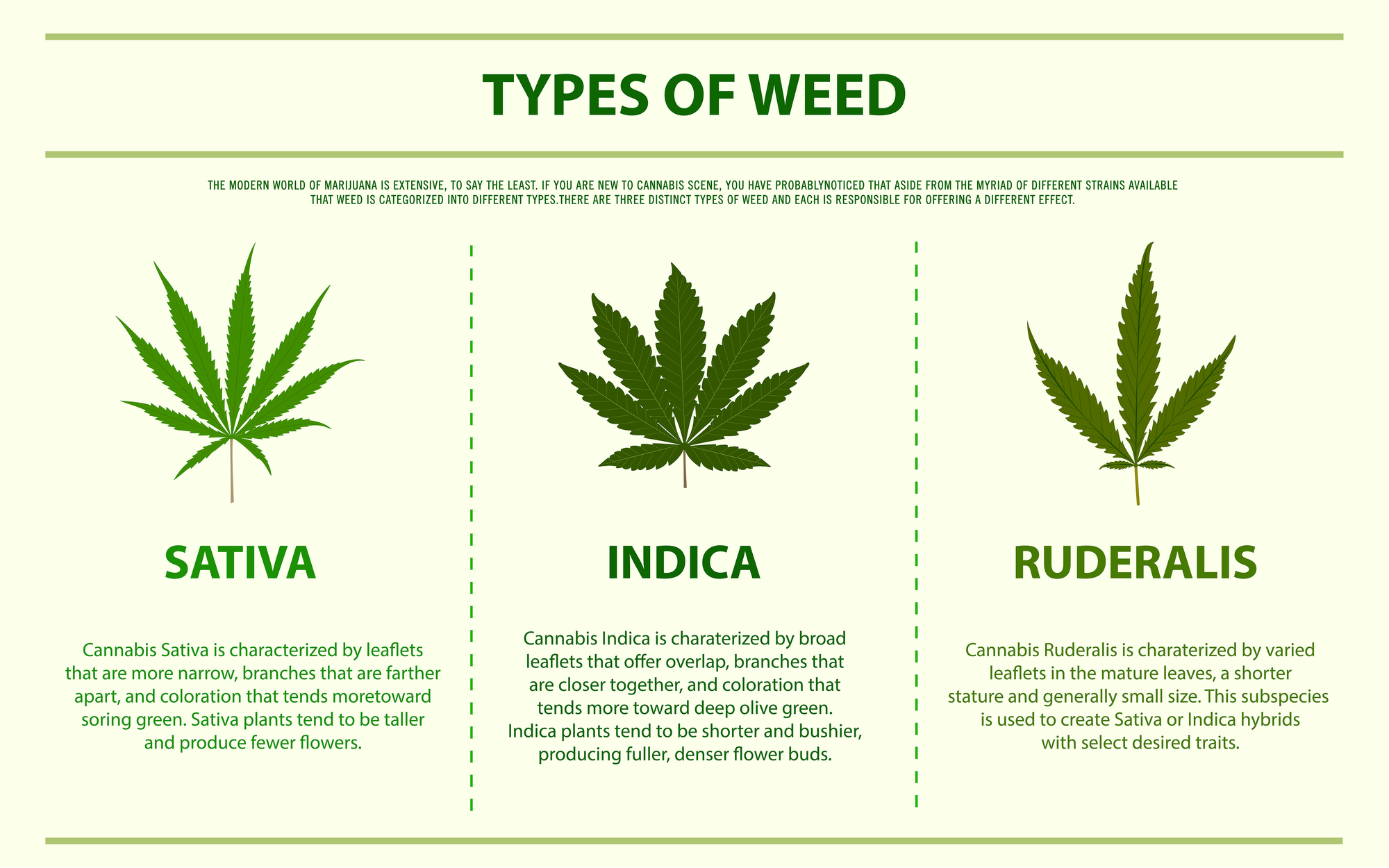 Indica vs Sativa, two cannabis terpenes