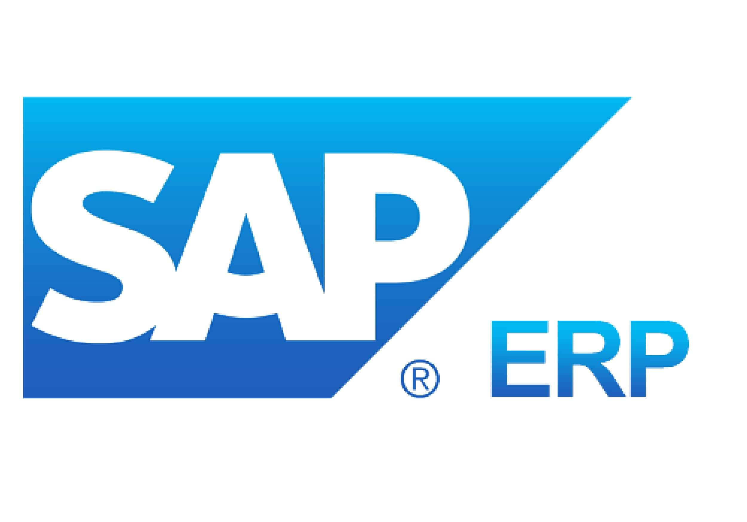 SAP ERP - early erp systems business performance