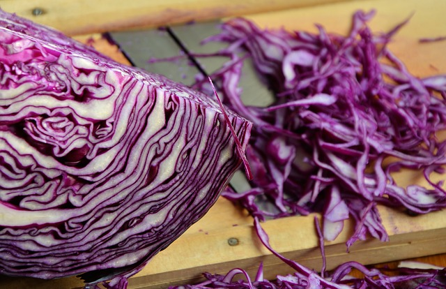 can guinea pigs eat red cabbage