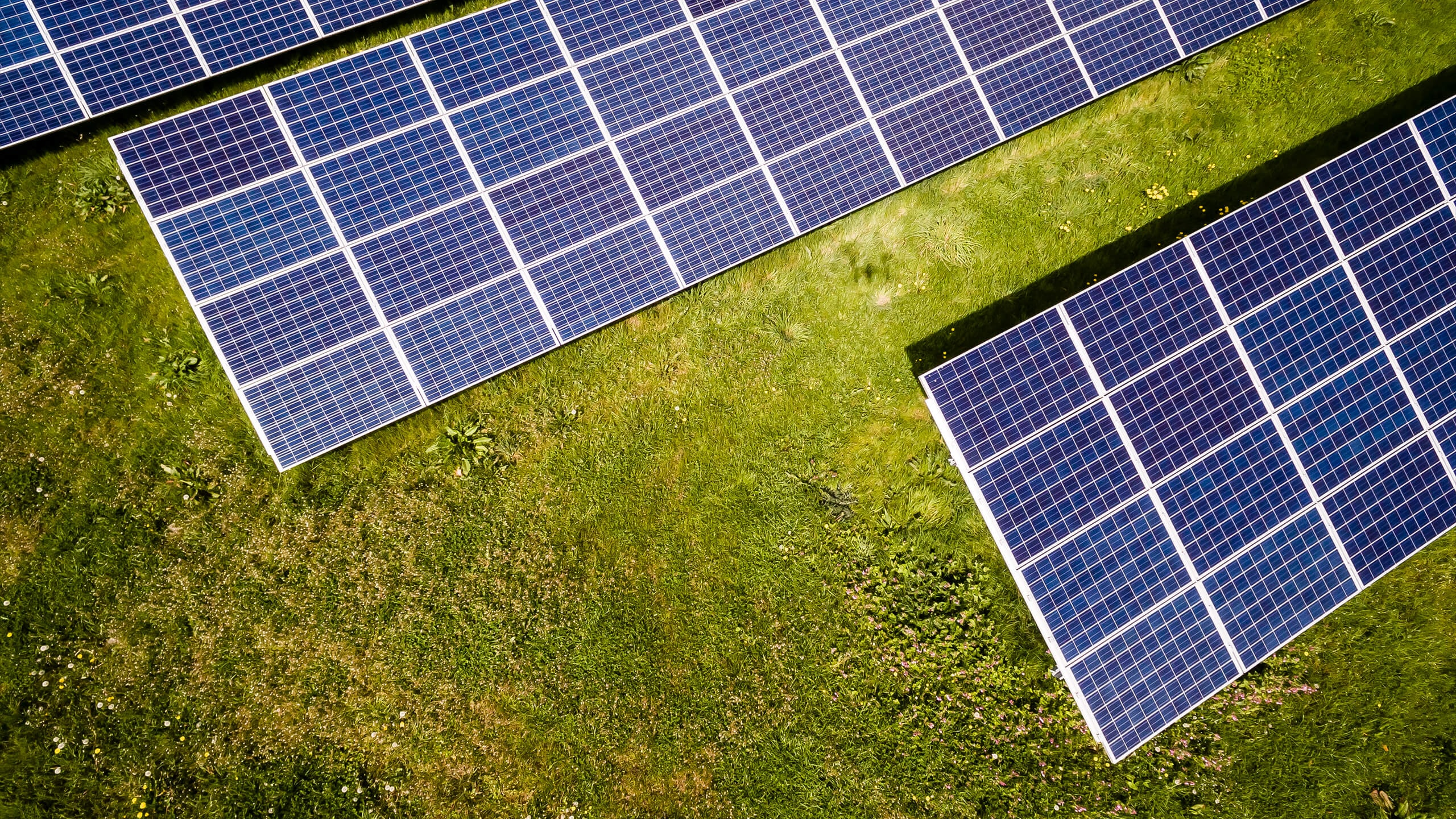 Benefits of Solar Panels in Texas