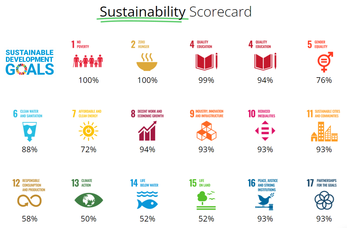 Key Components of a Sustainability Report